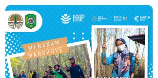 PENANAMAN 300 BIBIT POHON MANGROVE PERINGATI HARI LINGKUNGAN HIDUP SEDUNIA