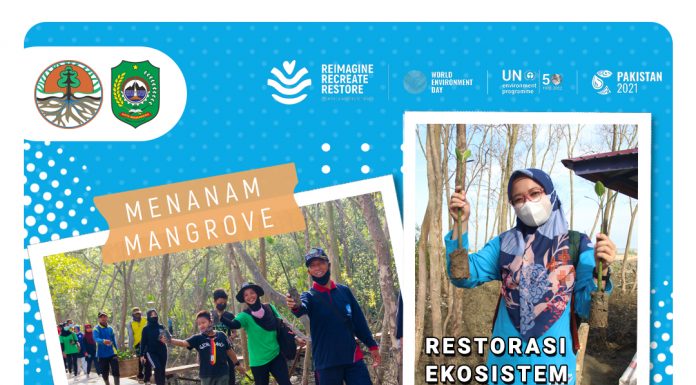 PENANAMAN 300 BIBIT POHON MANGROVE PERINGATI HARI LINGKUNGAN HIDUP SEDUNIA
