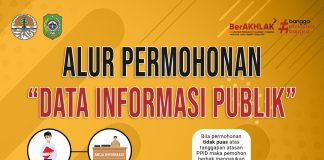 ALUR PERMOHONAN DATA INFOMASI PUBLIK (DIP)